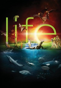 Cuộc Sống Hoang Dã | BBC: Life (2009) Cuộc Sống Hoang Dã | BBC: Life (2009)