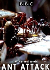 Kiến ăn thịt | The Natural World - Ant Attack (2006) Kiến ăn thịt | The Natural World - Ant Attack (2006)