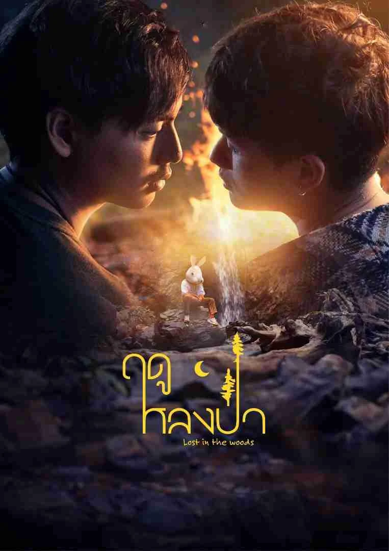Mùa Lạc Trong Rừng | Lost In The Woods (2025)
