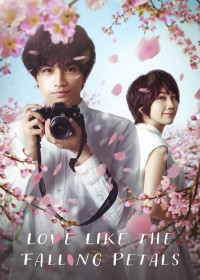 Tình Yêu Như Cánh Hoa Rơi | Love Like the Falling Petals (2022) Tình Yêu Như Cánh Hoa Rơi | Love Like the Falling Petals (2022)